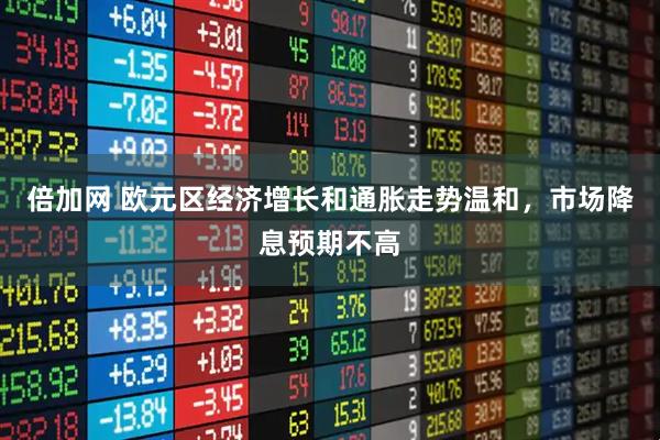 倍加网 欧元区经济增长和通胀走势温和，市场降息预期不高