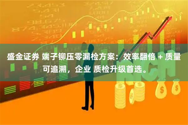 盛金证券 端子铆压零漏检方案：效率翻倍 + 质量可追溯，企业 质检升级首选。