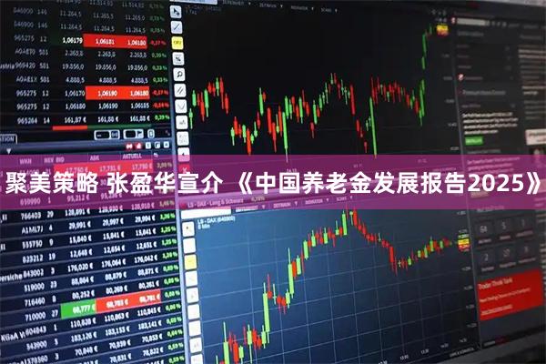 聚美策略 张盈华宣介 《中国养老金发展报告2025》