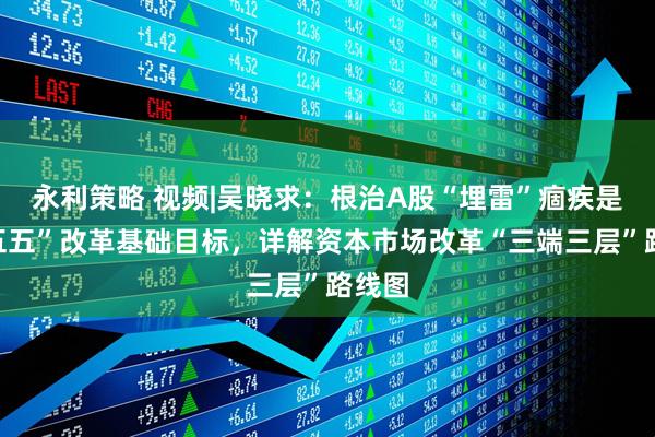 永利策略 视频|吴晓求：根治A股“埋雷”痼疾是“十五五”改革基础目标，详解资本市场改革“三端三层”路线图